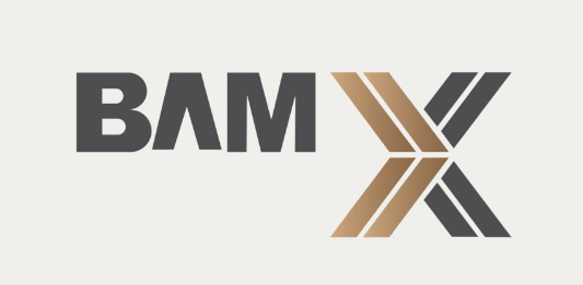BAMX Development